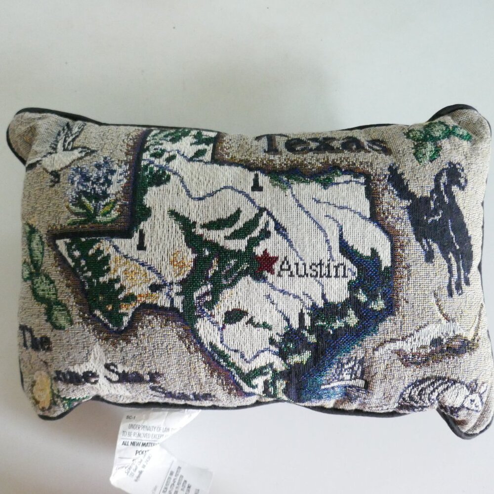 Texas decorative needlepoint pillow with map and things that represent TX